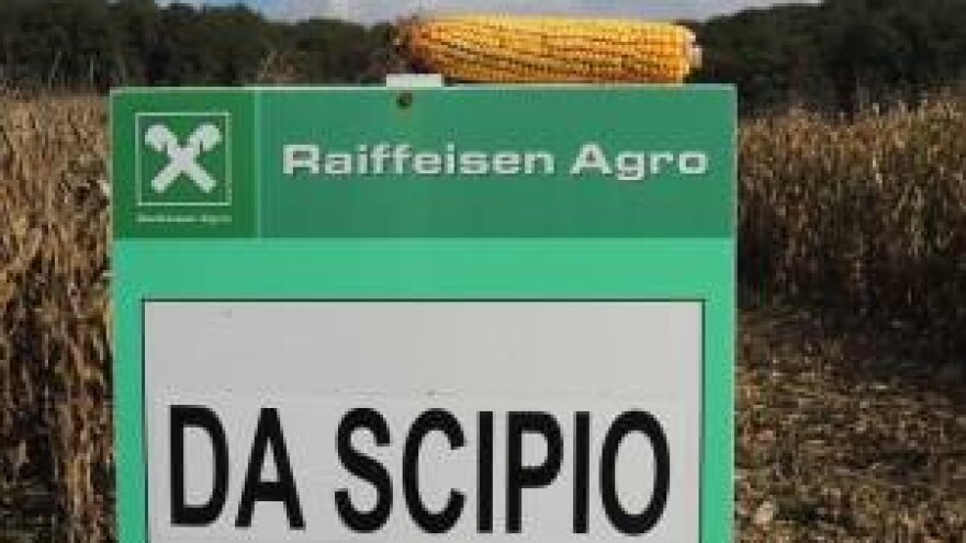 LG sjeme i RWA žele još više udjela na našim poljima