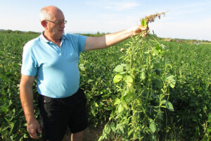 Napravio gumeni bunar za navodnjavanje soje