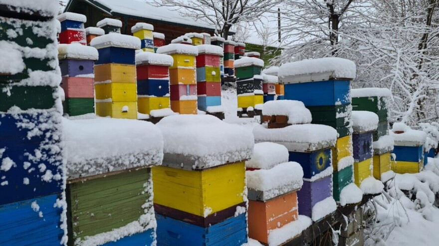 Zašto je januar važan za pčelara?