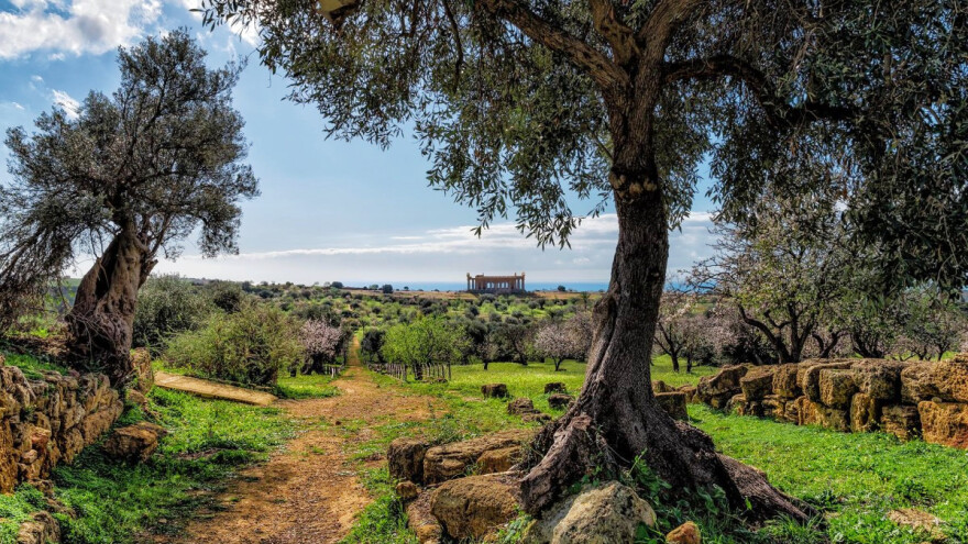 Oživjeli poljoprivredu na usamljenim ruševinama antičkih hramova