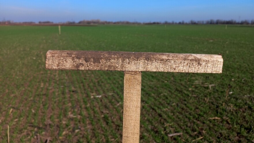 T-motka brani polje od glodavaca - koliko ih treba po hektaru?