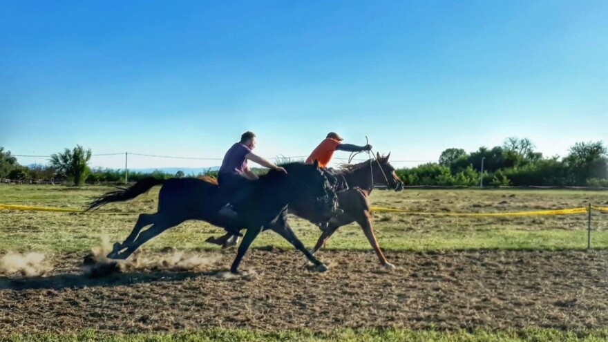 Dan konja i tambura: Ne propustite Mijoljsku potkovu 2025 kod Sopja