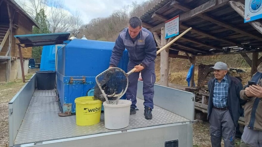 Dabar i Sanica spremne za ribolovnu sezonu: Ubačeno 1.500 komada pastrmke