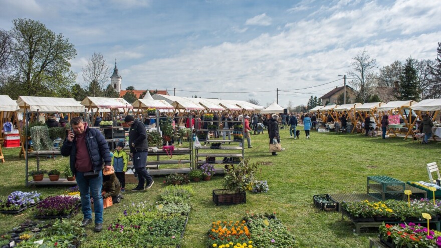 Uskoro Proljetni vašar u Karancu - birat će se i Princeza pušnice