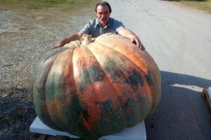 U Tovarniku pobijedila bundeva od 420 kg, u Oregonu 984 kg!