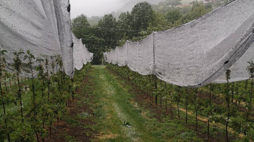 Aprilski snijeg ne bi trebao uzrokovati veće štete, kada se očekuje stabilizacija?
