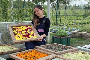 Jelena Popović u bašti uzgaja lekovite biljke i pravi sapune, meleme i kreme