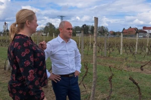 Dabro: Činimo sve kako bi poljoprivrednici što prije obnovili svoje proizvodne potencijale
