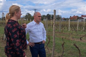 Dabro: Činimo sve kako bi poljoprivrednici što prije obnovili svoje proizvodne potencijale