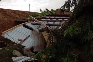 Uklanjaju posledice jakog nevremena u Bačkoj Palanci. Apel građanima da ne diraju grane na električnim vodovima