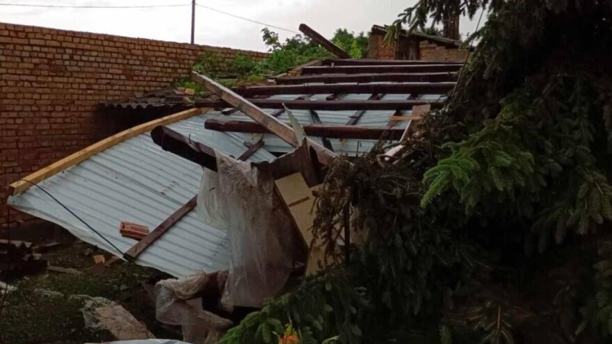 Uklanjaju posledice jakog nevremena u Bačkoj Palanci. Apel građanima da ne diraju grane na električnim vodovima