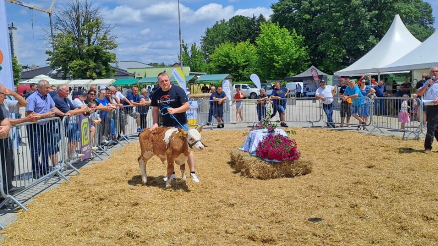 Vratio se doma - održan prvi Dubravski stočarski sajam