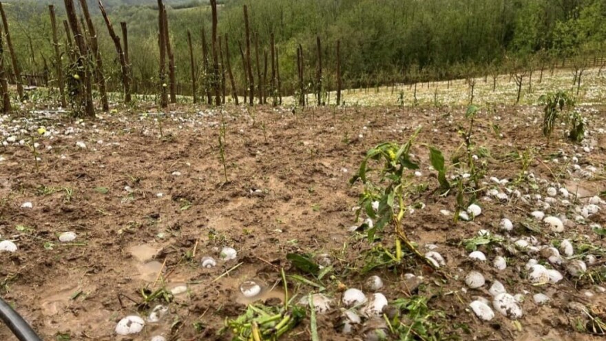 Proglašena vanredna situacija u Osečini: Grad veličine jajeta ubijao životinje, vetar nosio krovove