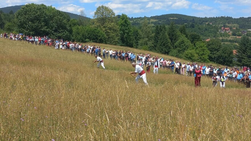 Kosidba na Balkani: Ako znate zamahnuti, naoštrite kosu i pravac Mrkonjić Grad