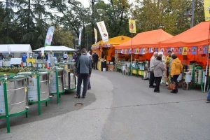 Pčelarska oprema jeftinija u Srbiji - dokazao 45. Međunarodni sajam pčelarstva na Tašmajdanu