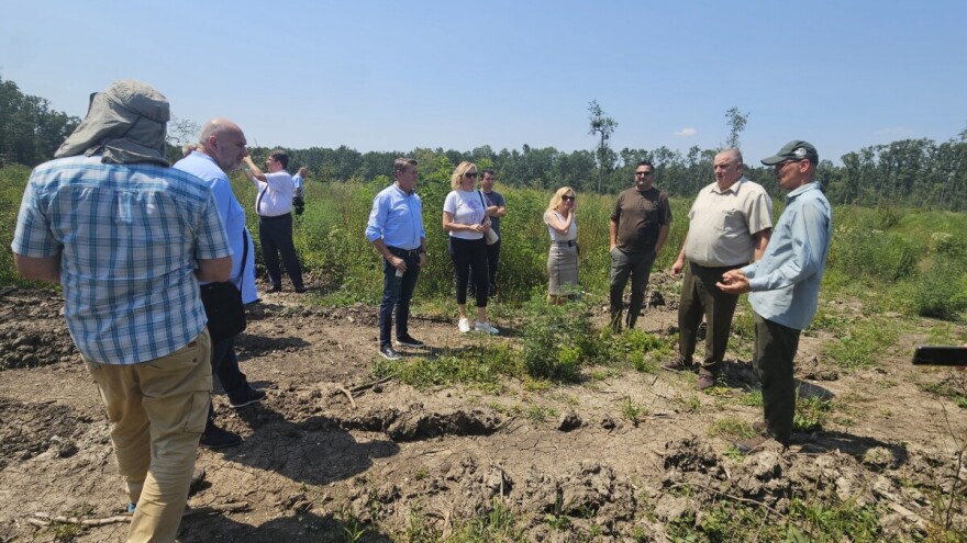 Na području Uprave šuma Vinkovci posađeno 150.000 sadnica hrasta lužnjaka