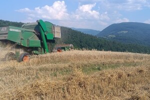 Ispisao seosku historiju: Kombajn prvi put stigao u Semetiš