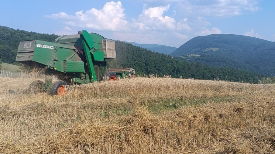 Ispisao seosku historiju: Kombajn prvi put stigao u Semetiš