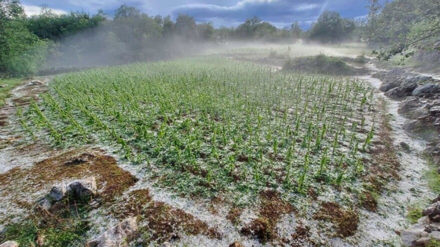 Domaćinstvima koja su pretrpjela štetu od grada po 1.000 KM