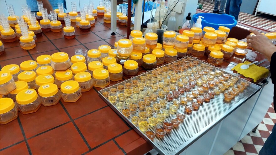 Pčelari, šaljite uzorke: "Medena Tuzla" objavila javni poziv