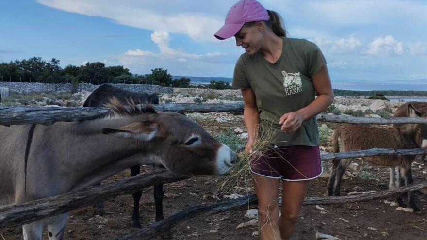 Mlada povratnička obitelj uživa u svom malom zoološkom vrtu na otoku Rabu