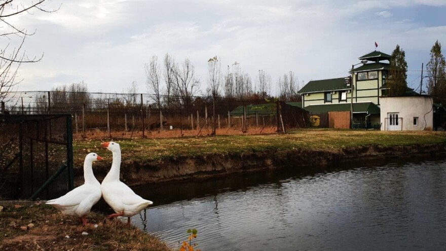 Fazanerija i jezero Paljuvi: Skriveno blago za lovce i ribolovce