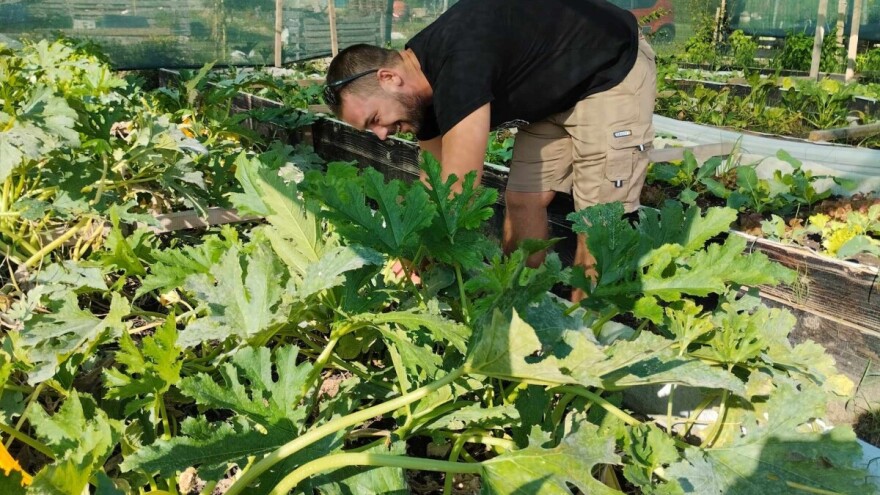 Leo Štokić: Divlje ovce, nepredvidivi vremenski uvjeti i suša najveći su izazovi