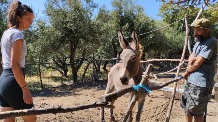 Mirko i Doris: Na našem ranču nestaju svi problemi, a životinje imaju svoje ime