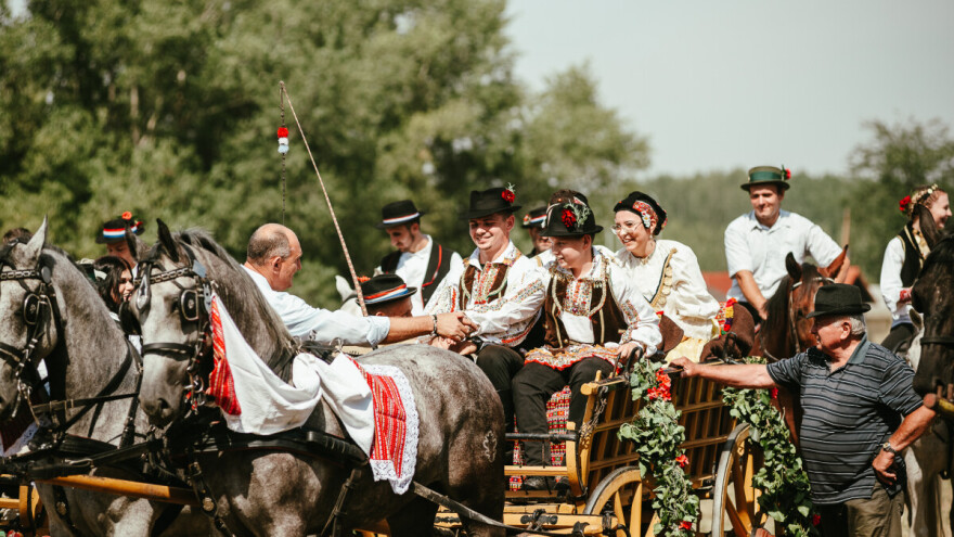 Jesen u Baranji: Uživajte u fotografijama sa 14. smotre svatovskih zaprega