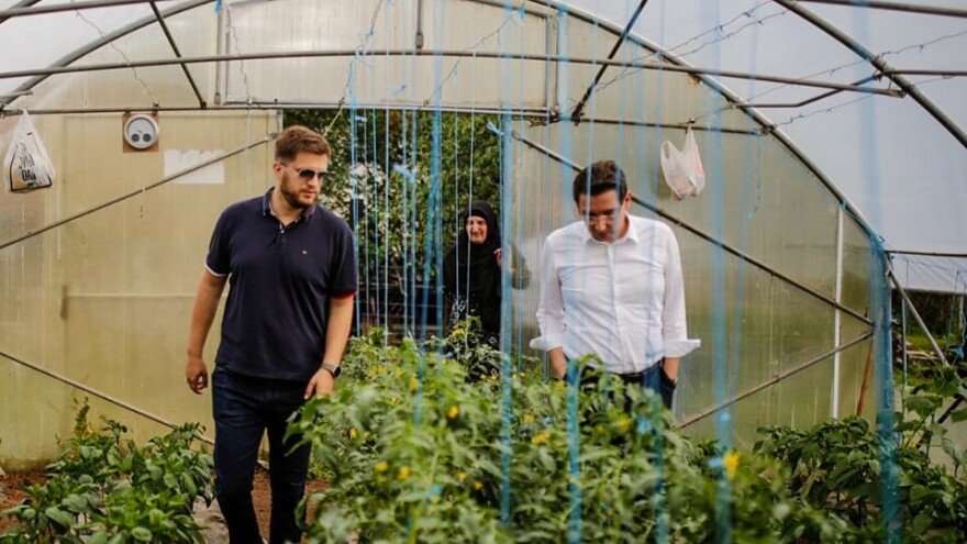 Stari Grad bilježi rast broja poljoprivrednika: Općina prima sve više zahtjeva za poticaje