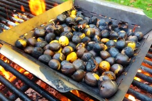 Iz Pećigrada pozivaju na tradicionalnu Kestenijadu: "Slavimo jesen"
