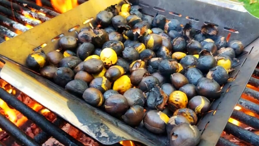 Iz Pećigrada pozivaju na tradicionalnu Kestenijadu: "Slavimo jesen"