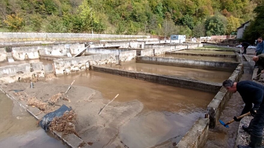 Zakiru poplava odnijela 5,5 tona ribe: "Ljudi, hitno mi je potrebna mašina"