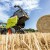 Novi pick-up sistem donosi snažno unapređenje balirki Variant 500 iz Claas-a