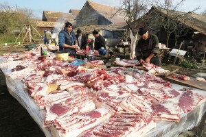 Uvoz "špageti" svinjetine ugrožava kolinje i domaće proizvođače