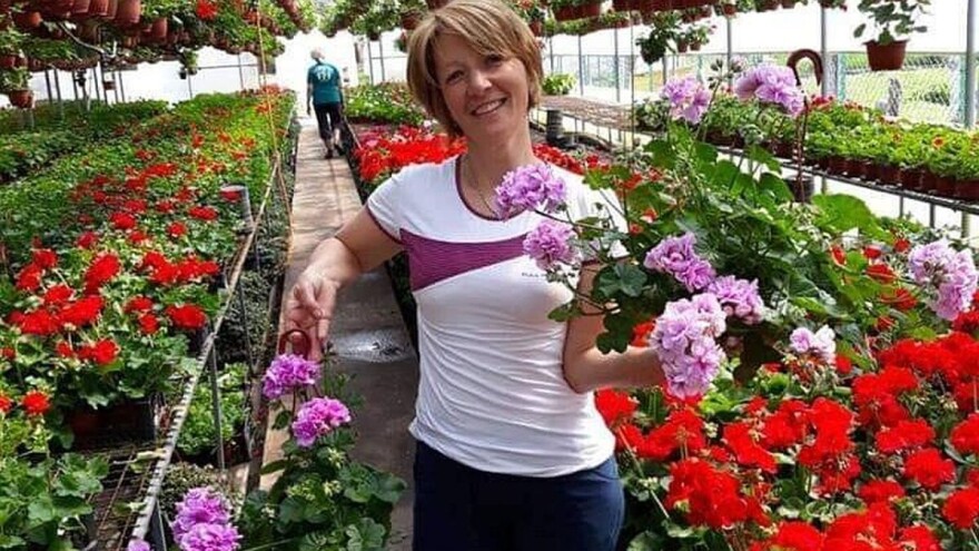 Rasadničko cveće traženo tokom čitave godine