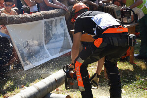 Našice se spremaju za jubilarne 25. Dane slavonske šume, izlagači prijavite se