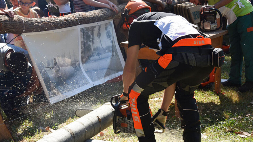 Našice se spremaju za jubilarne 25. Dane slavonske šume, izlagači prijavite se