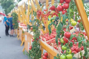 "Paradajz fest" od 18. do 20. jula u Lebanu