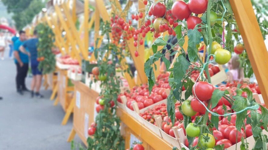 "Paradajz fest" od 18. do 20. jula u Lebanu