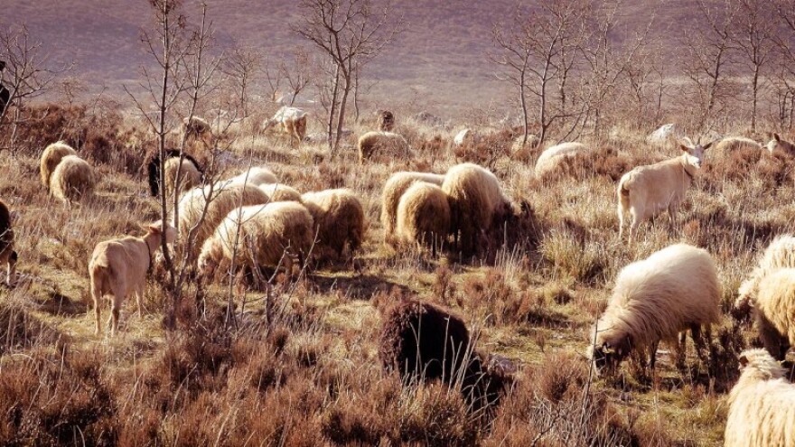 LAG Zagora: Do kraja ožujka objava drugog natječaja za tip operacije 3.1.1.