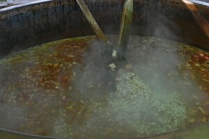 "Prosto k'o pasulj"  7. juna u Temerinu, prijavite svoju ekipu