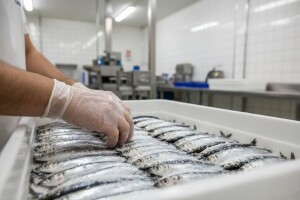 4,9 milijuna kuna iz IPARD-a za preradu svježe ribe