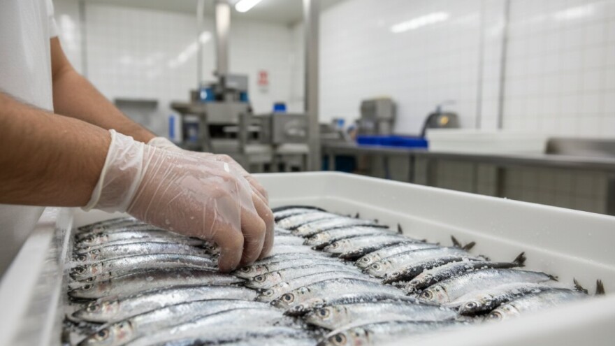 4,9 milijuna kuna iz IPARD-a za preradu svježe ribe