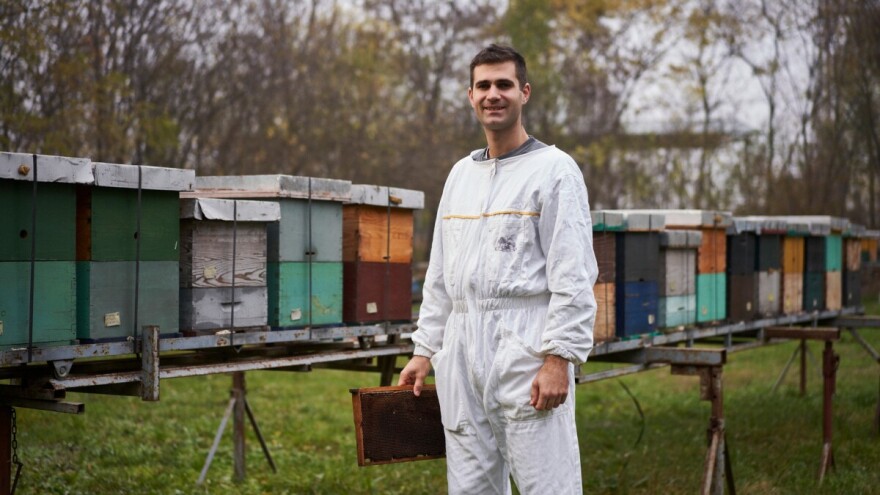 Pčelarev sin i med sa Kosmaja, Fruške gore i iz Banata. Biznis ili porodična tradicija?