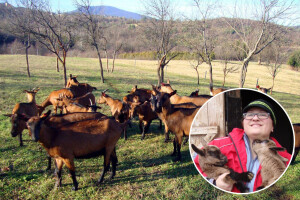 Zbog zdravlja Jagari iz grada pobjegli u Liku - bave se kozarstvom, a otvorili i siranu
