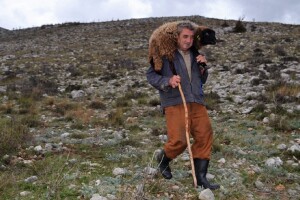 Ovčar Zore Gužvica među stijenama pronašao naklano janje othranjeno na dudicu!
