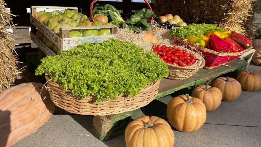 Otvoren poziv za poticaj poljoprivredno-turističkih aktivnosti u BiH