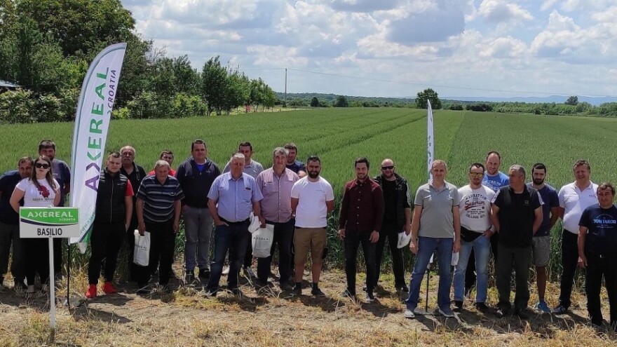 Dan polja pšenice: Axereal najavio nove francuske sorte proizvedene u Hrvatskoj