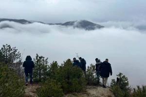 Prvo pošumljavanje uz pomoć drona: Konjic obnavlja "pluća grada"